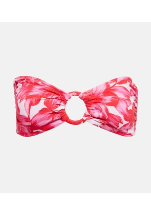 Alexandra Miro Carlotta printed bandeau bikini top