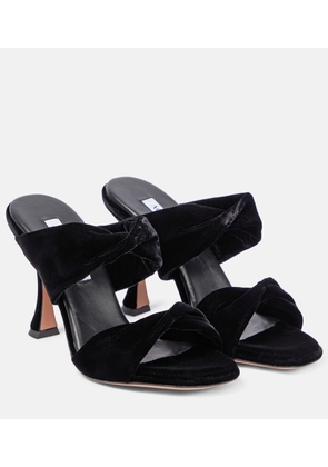 Aquazzura Twist velvet mules
