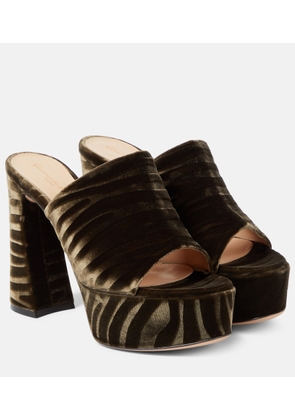 Gianvito Rossi Holly zebra-print platform mules