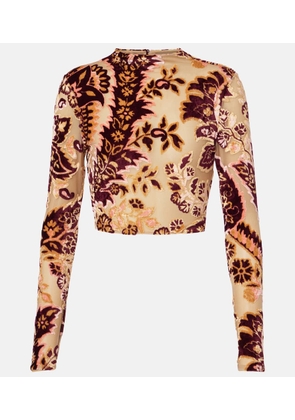 Etro Paisley tulle and velvet jacquard crop top