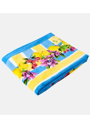 Dolce&Gabbana Casa Taormina cotton terry beach towel