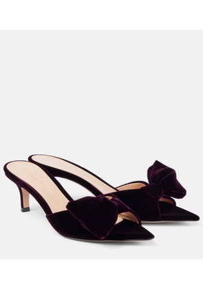 Gianvito Rossi 55 bow-detail velvet mules