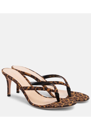 Gianvito Rossi Calypso 70 suede thong sandals