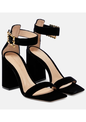 Gianvito Rossi Wondy velvet sandals