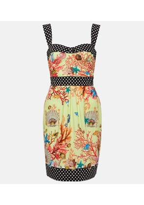 Dolce&Gabbana Capri printed cotton minidress