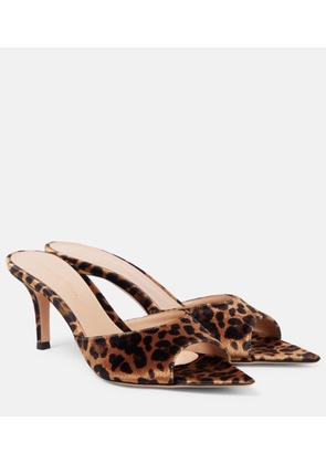 Gianvito Rossi 70 leopard-print velvet mules