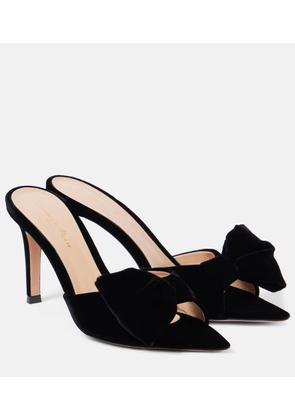 Gianvito Rossi 85 bow-detail velvet mules