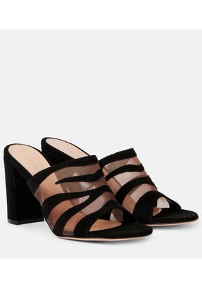 Gianvito Rossi Suede and mesh mules