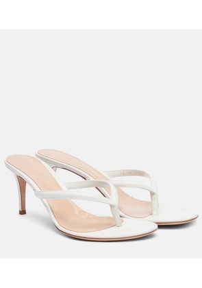 Gianvito Rossi Calypso 70 leather thong sandals