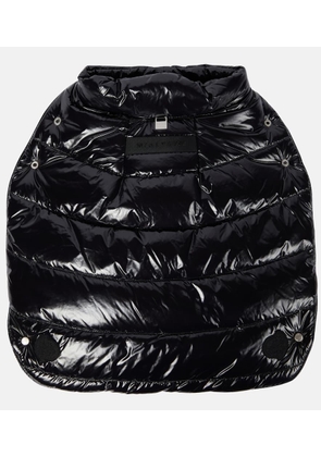 Moncler 6 Moncler 1017 ALYX 9SM dog coat