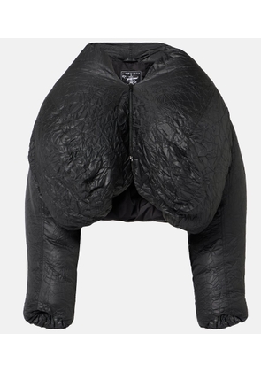 Y/Project Cropped puffer jacket