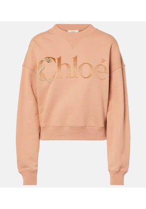Chloe Cotton sweater