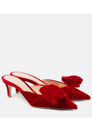 Gianvito Rossi 55 bow-detail velvet mules
