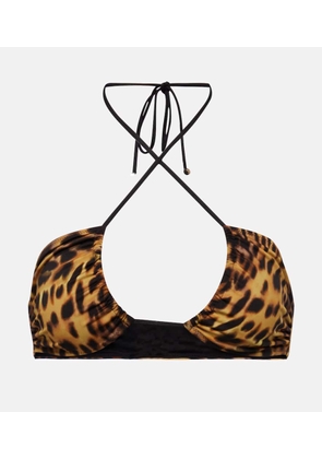 Stella McCartney Printed halterneck bikini top