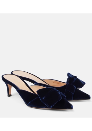Gianvito Rossi 55 bow-detail velvet mules