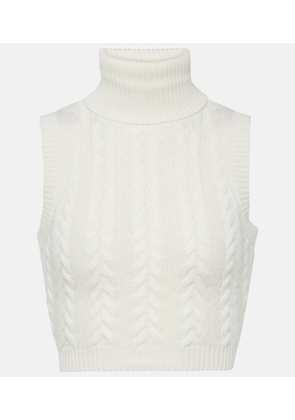 Max Mara Oscuro wool and cashmere turtleneck top