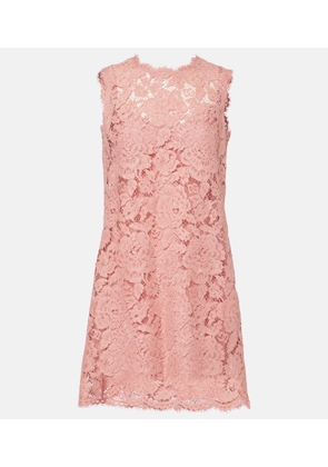 Dolce&Gabbana DG lace minidress