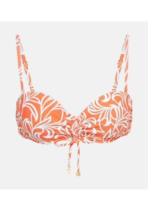 Heidi Klein Coral Gardens bandeau bikini top