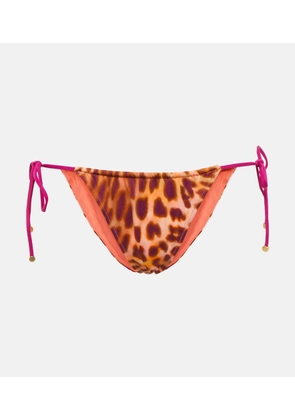 Stella McCartney Leopard-print bikini bottoms