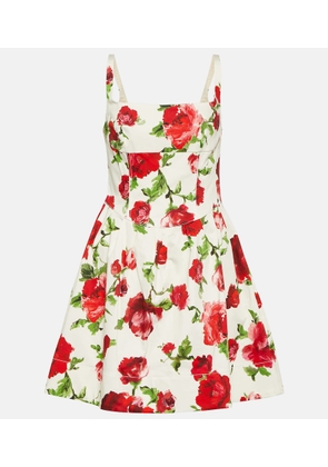 Carolina Herrera Floral cotton-blend minidress