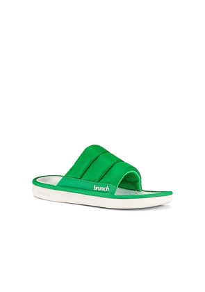 Brunch Poolside in Green. Size 10/10.5. Also in 11/11.5, 12/12.5.