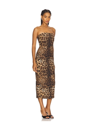 CULTNAKED Killa Dress in Brown. Size L. Also in M.