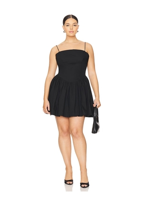 L'Academie by Marianna Simone Mini Dress in Black. Size M. Also in L, S, XL, XS.