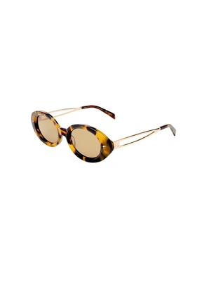 Luv Lou The Avalon Sunglasses in Brown.