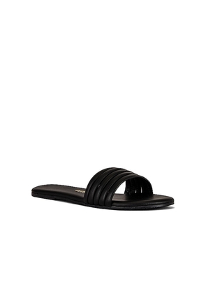 TKEES Serena Sandal in Black. Size 6. Also in 5, 7.