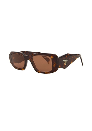 Prada Oval Frame Sunglasses in Brown.