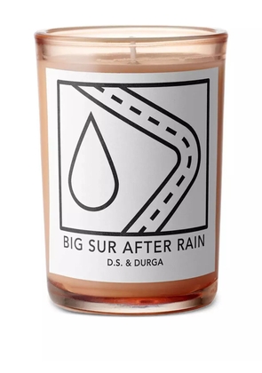 D.S. & Durga Big Sur After Rain candle (200g) - Neutrals