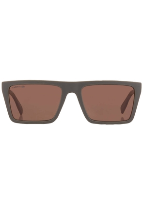 Lacoste Brown Square Mens Sunglasses L6009S 275 56