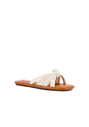 Steve Madden Kandace Sandal in White. Size 6. Also in 6.5.