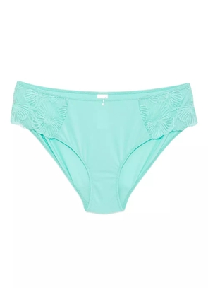 Wacoal Cateline briefs - Blue