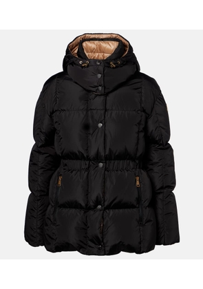 Moncler Agneux belted quilted down jacket