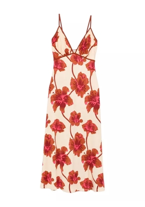 Johanna Ortiz Sendero de Astromelias midi dress - Neutrals