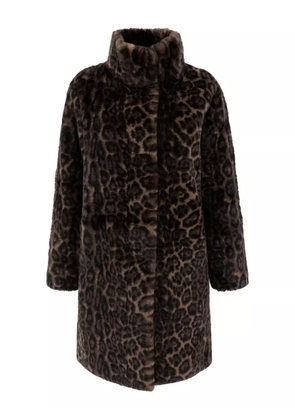 Apparis leopard-pattern coat - Brown