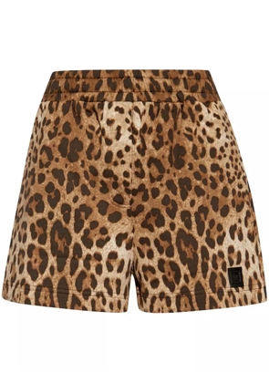 Dolce & Gabbana logo-patch shorts - Brown