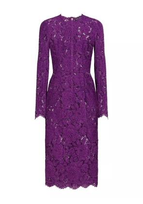 Dolce & Gabbana DNA Cordonetto lace dress - Purple