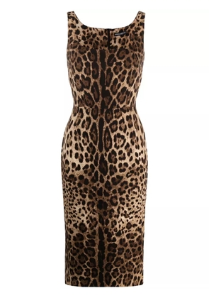 Dolce & Gabbana leopard-print square-neck fitted dress - Brown