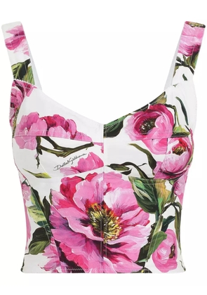 Dolce & Gabbana peony-print bustier top - White