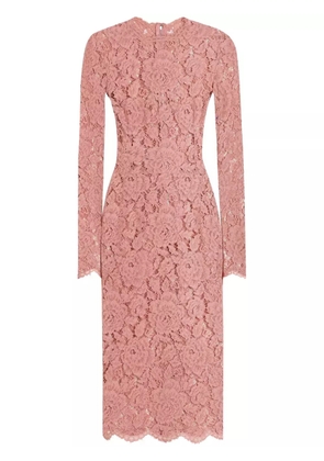 Dolce & Gabbana DNA laced midi dress - Pink