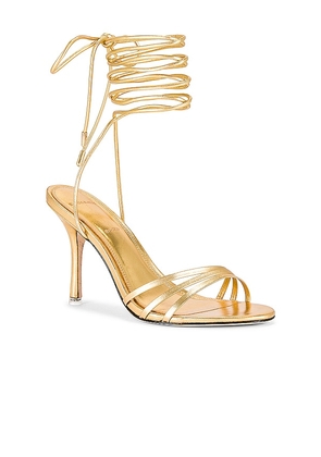 BLACK SUEDE STUDIO Leandra Heeled Sandal in Metallic Gold. Size 10. Also in 5.5, 6, 8.5.