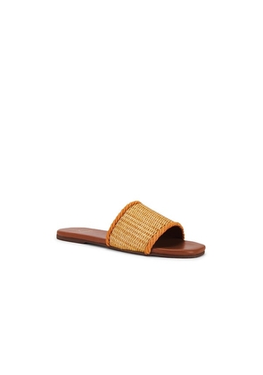 Kaanas Azurita Slide in Brown. Size 11. Also in 5.