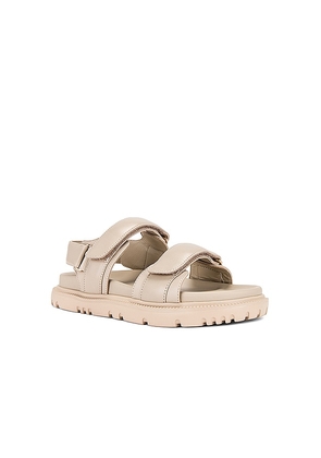 Tony Bianco Falcon Sandal in Beige. Size 5. Also in 10.