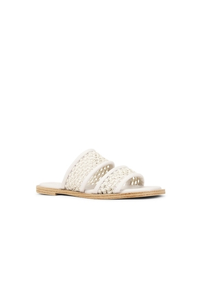 Seychelles Water Lily Sandal in White. Size 6. Also in 6.5, 7.5, 8, 8.5, 9, 9.5.