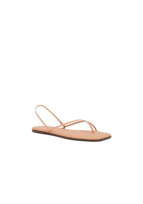 TKEES Square Toe Millie Sandal in Nude. Size 7. Also in 8, 9.