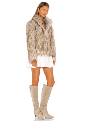Unreal Fur Faux Fur Jacket in Tan. Size XL. Also in L, M, S, XS.
