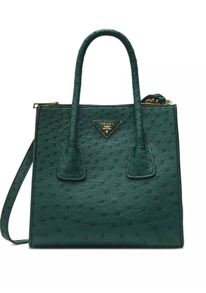 Prada Pre-Owned 2024 Double Handle Ostrich Tote Bag - Green