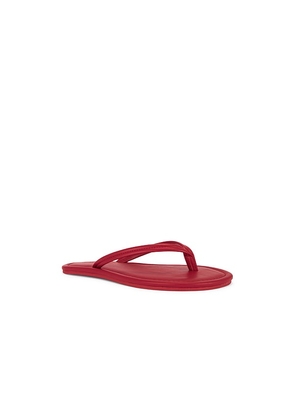 St. Agni Thong Detail Sandal in Red. Size 37. Also in 38, 39, 41.